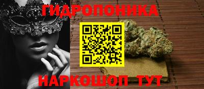 скорость Жуковский