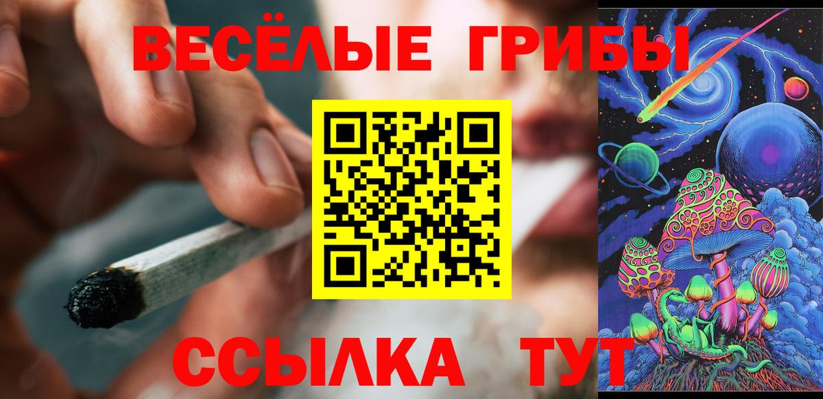 Ликино-Дулёво  Псилоцибиновые грибы прущие грибы  Вход с VPN 